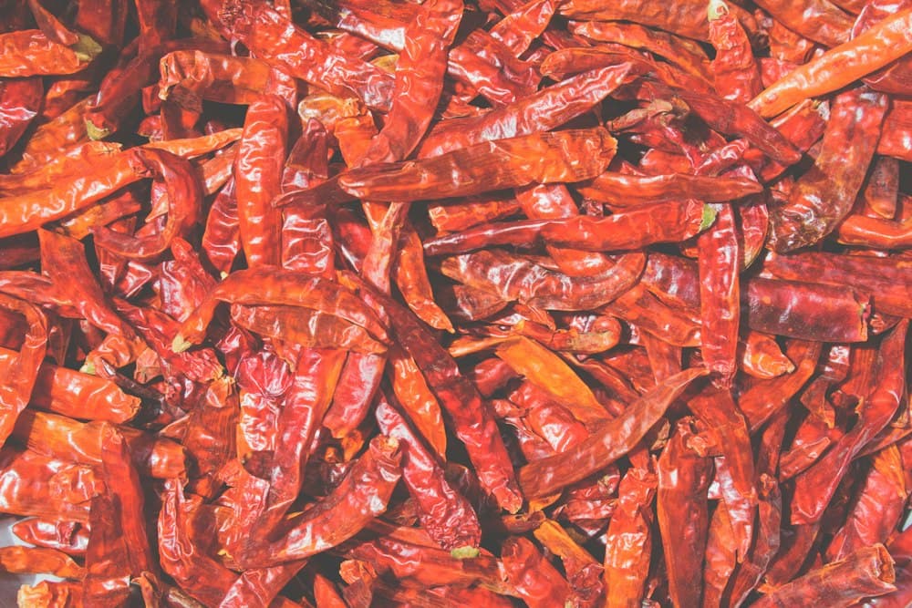 Dried Chili Peppers