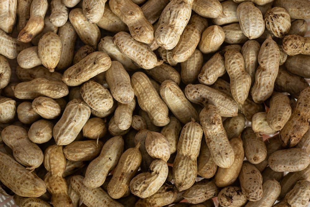 Groundnuts